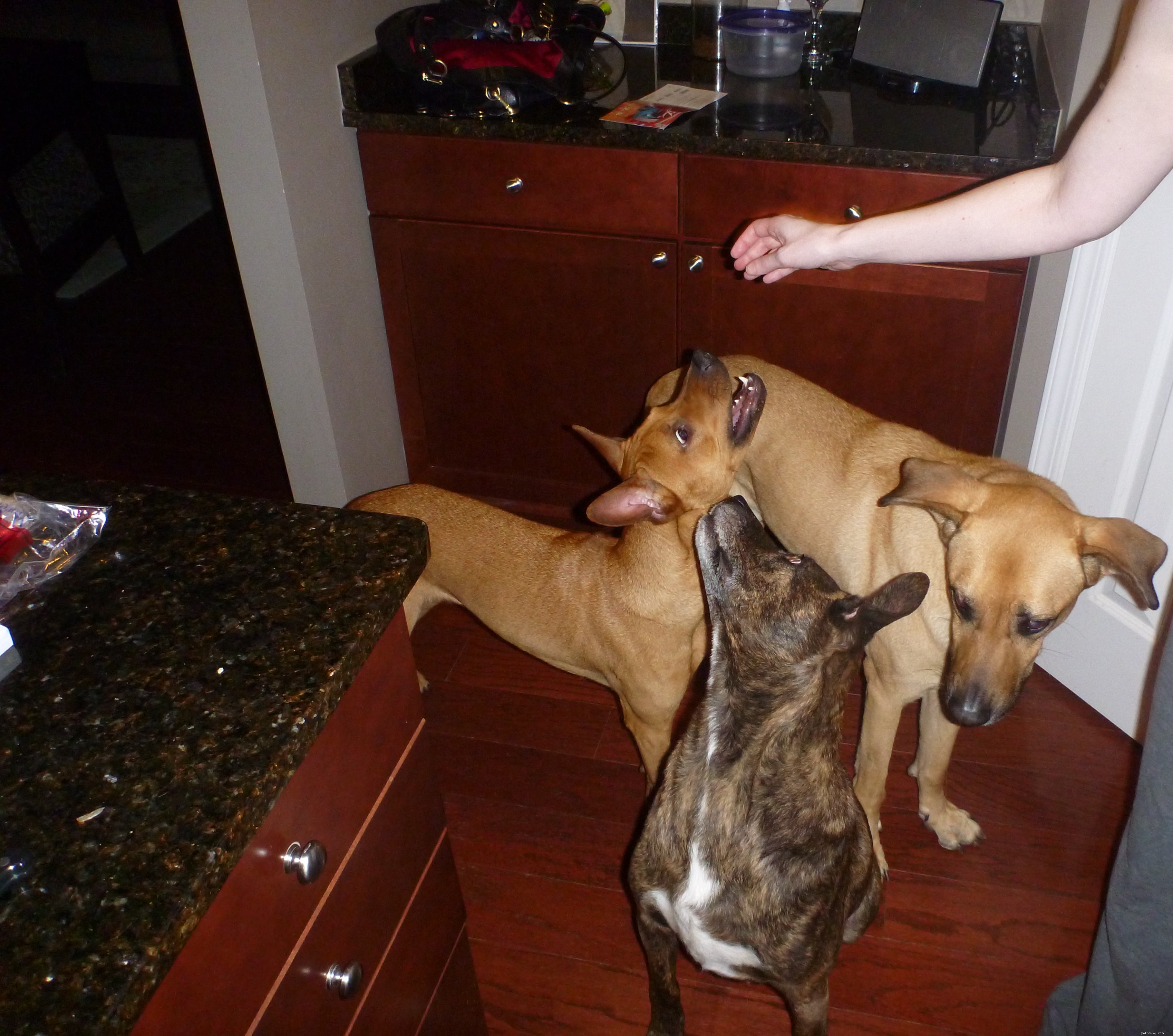 Maggie s Recovery Journey: Updates on Treatment and Wellness