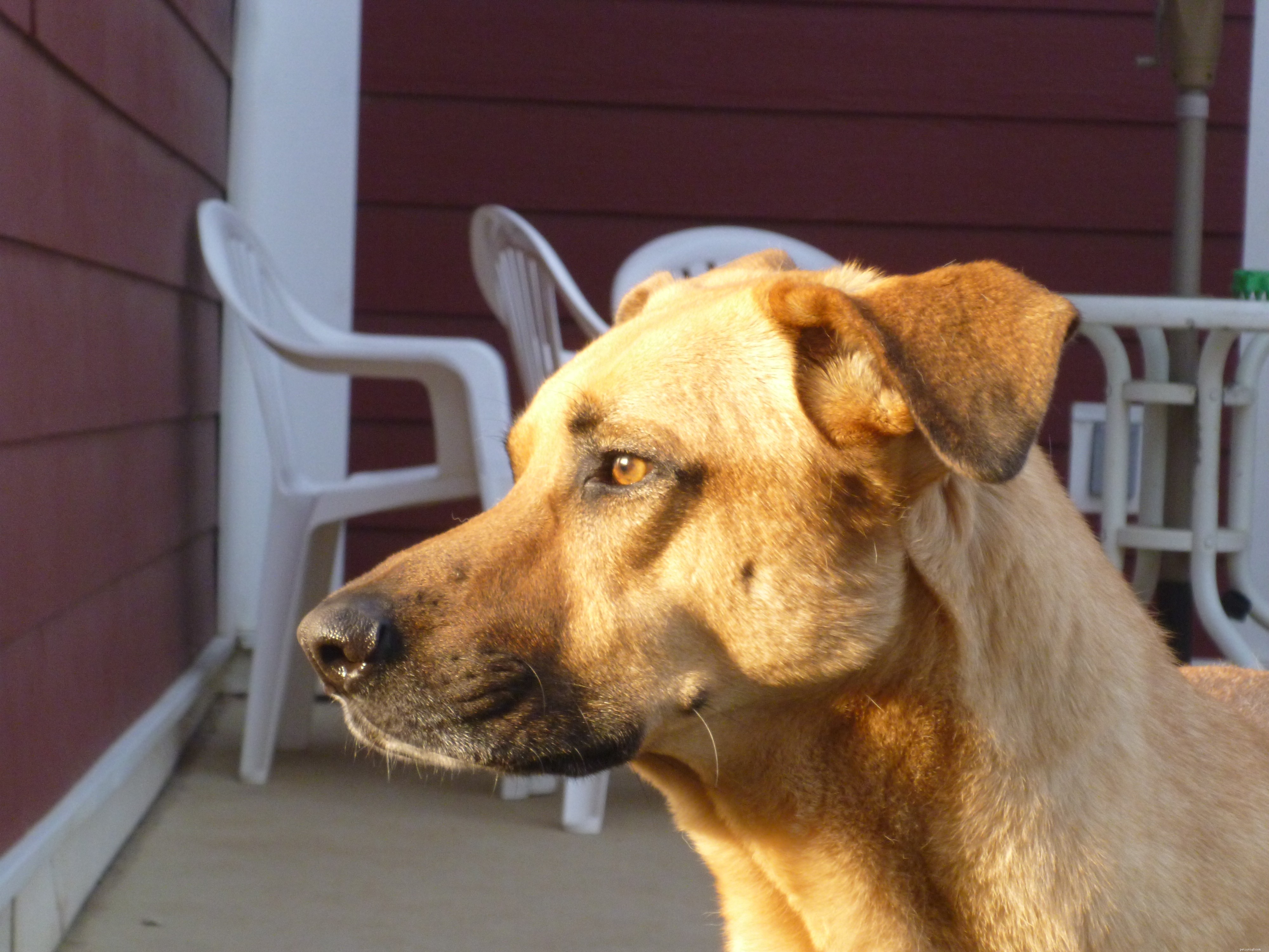 Maggie s Recovery Journey: Updates on Treatment and Wellness