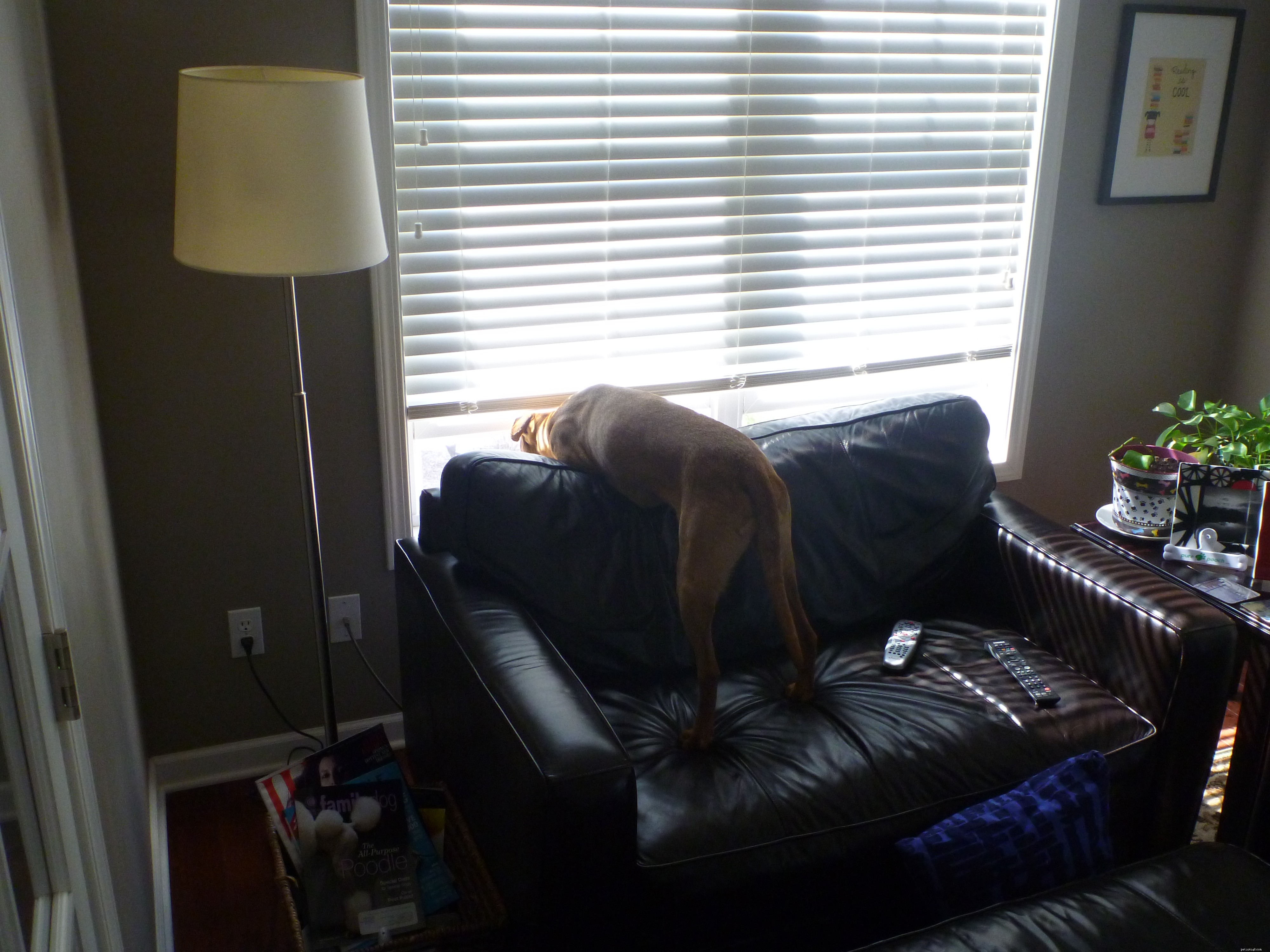Maggie s Recovery Journey: Updates on Treatment and Wellness