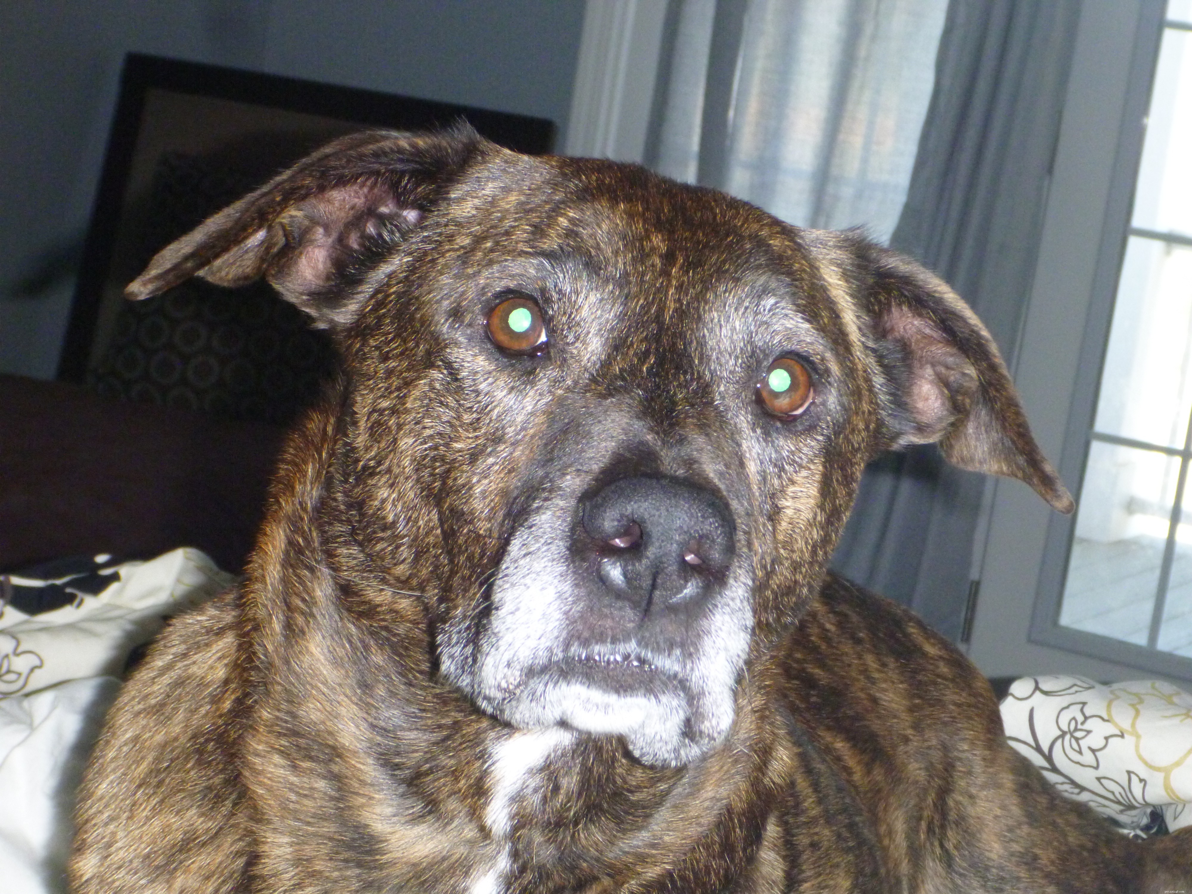 Maggie s Recovery Journey: Updates on Treatment and Wellness