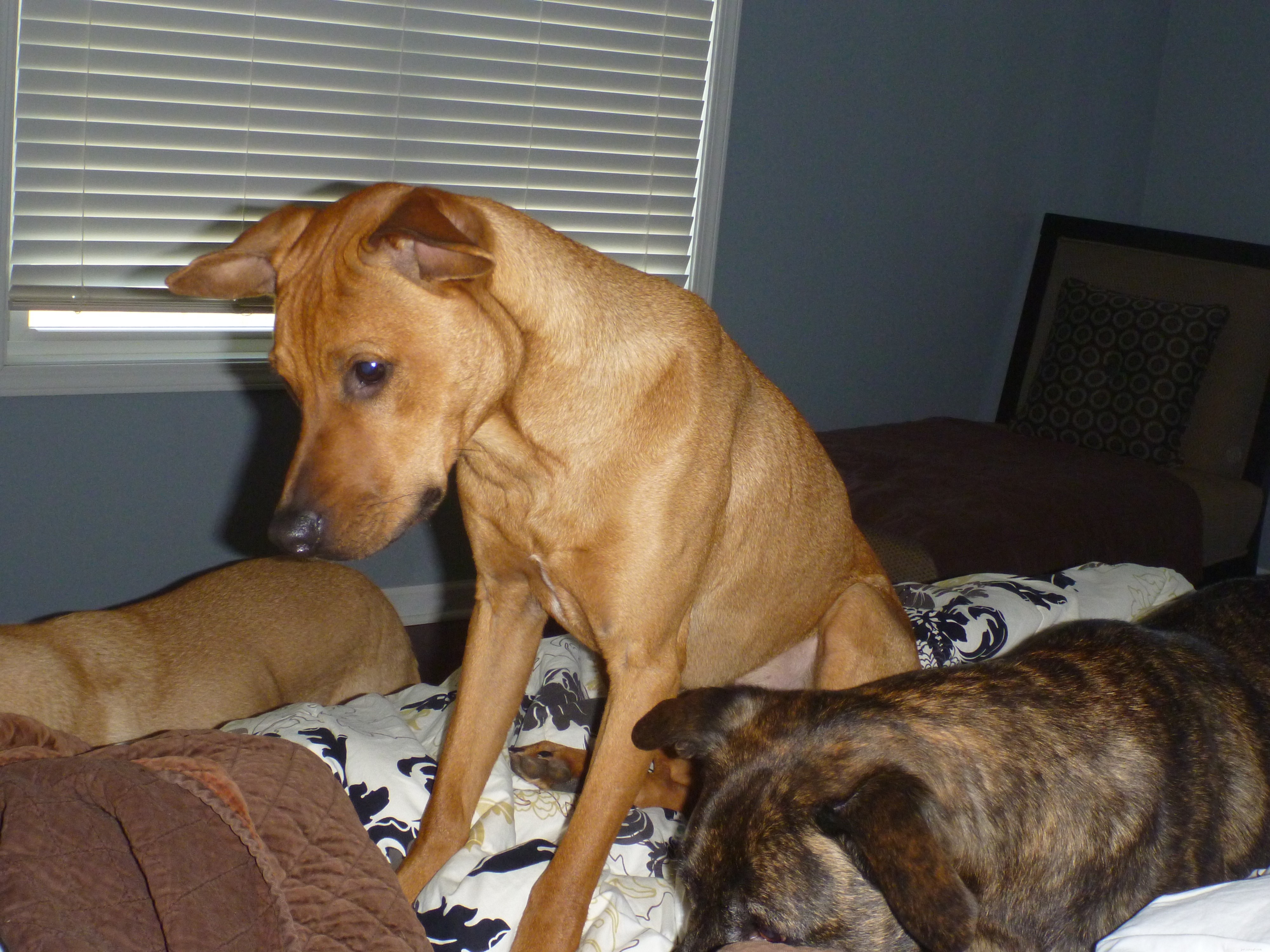 Maggie s Recovery Journey: Updates on Treatment and Wellness