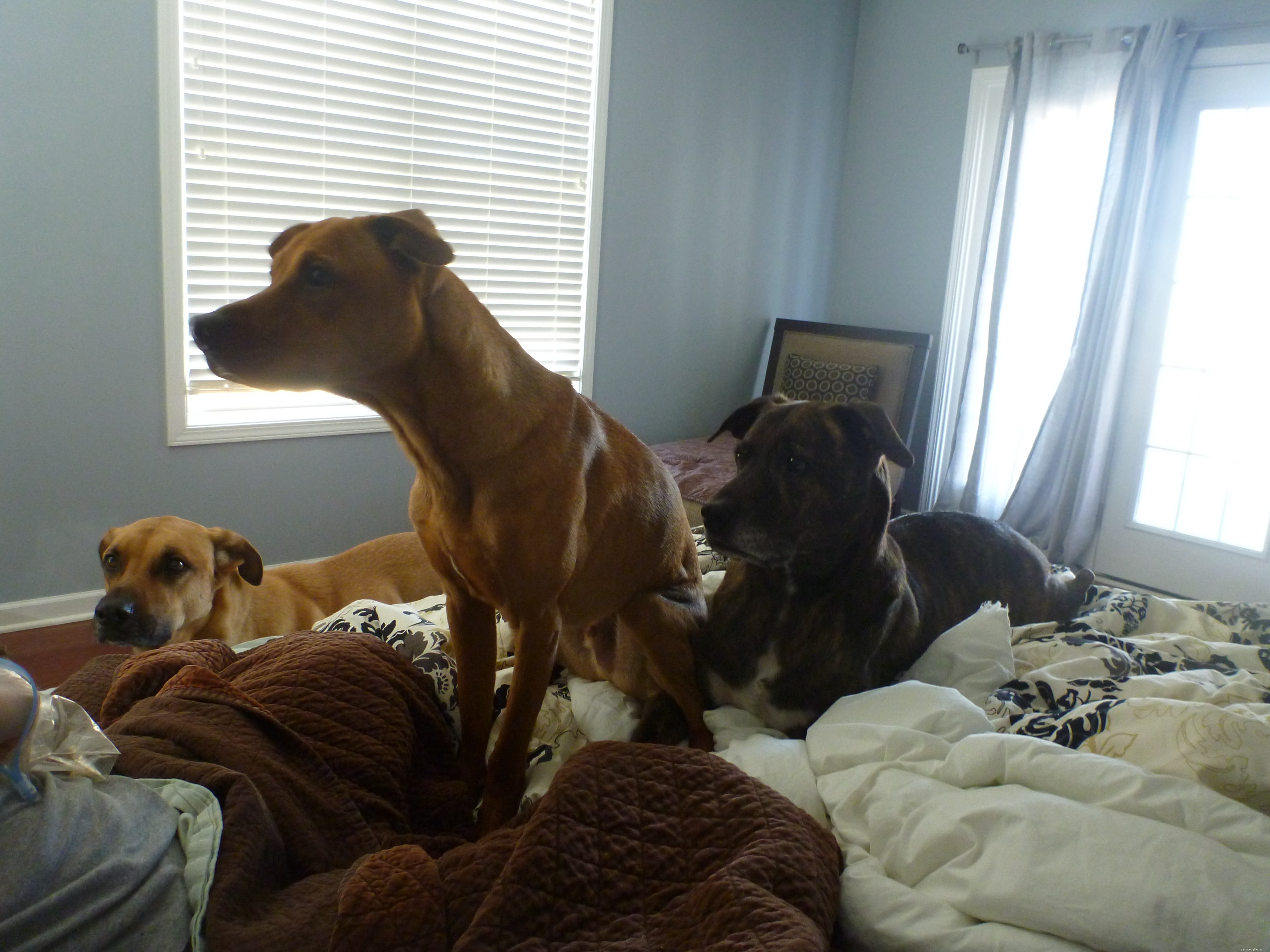 Maggie s Recovery Journey: Updates on Treatment and Wellness