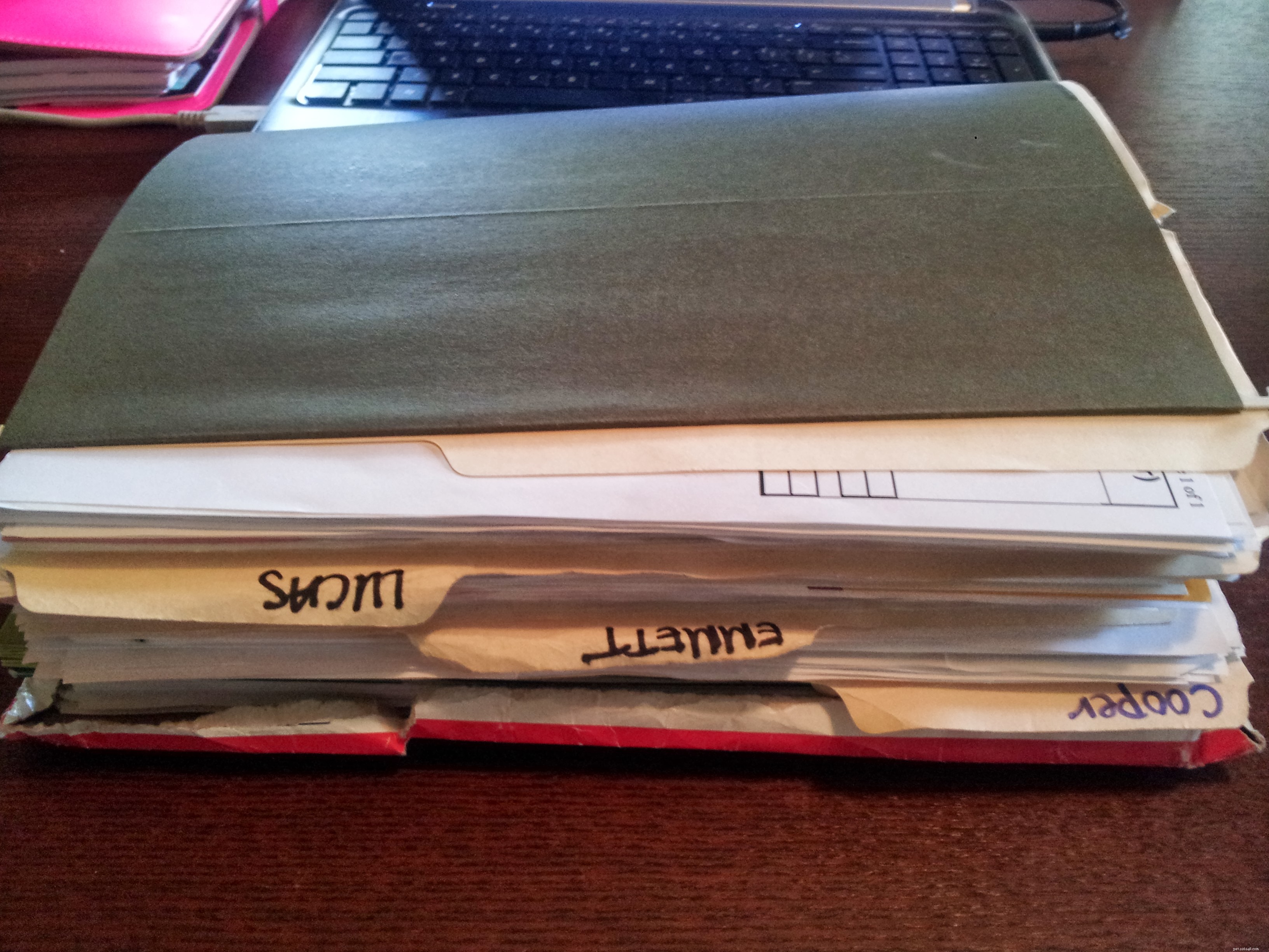 Comprehensive Pet Care: Organizing Health & Wellness Records