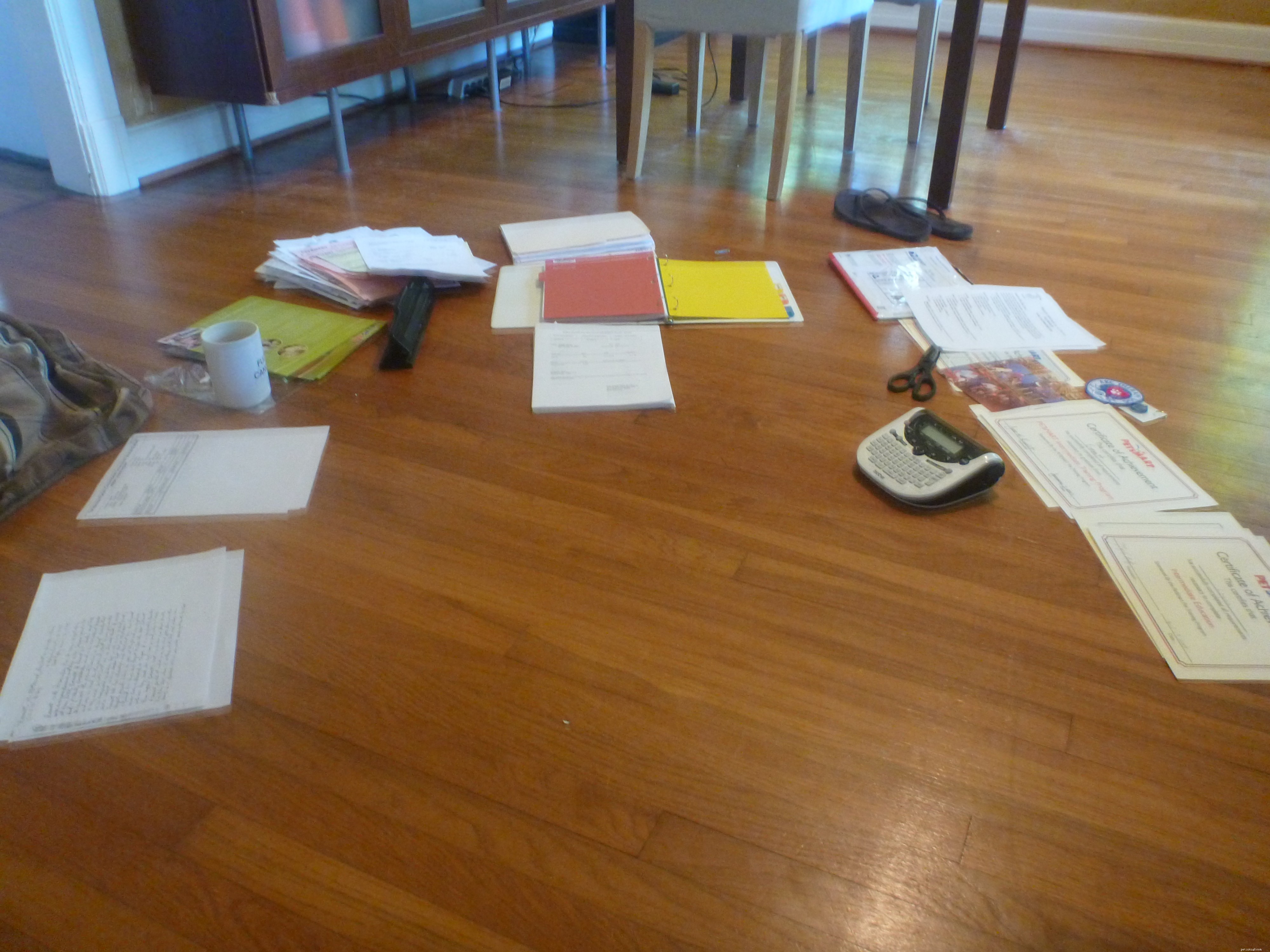 Comprehensive Pet Care: Organizing Health & Wellness Records