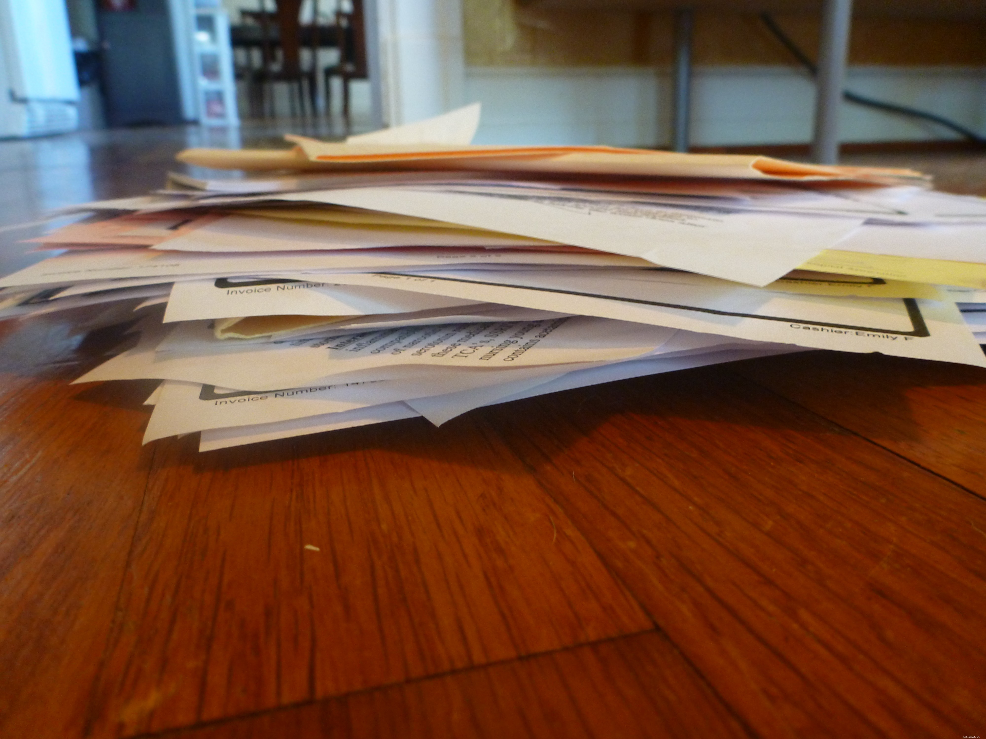 Comprehensive Pet Care: Organizing Health & Wellness Records