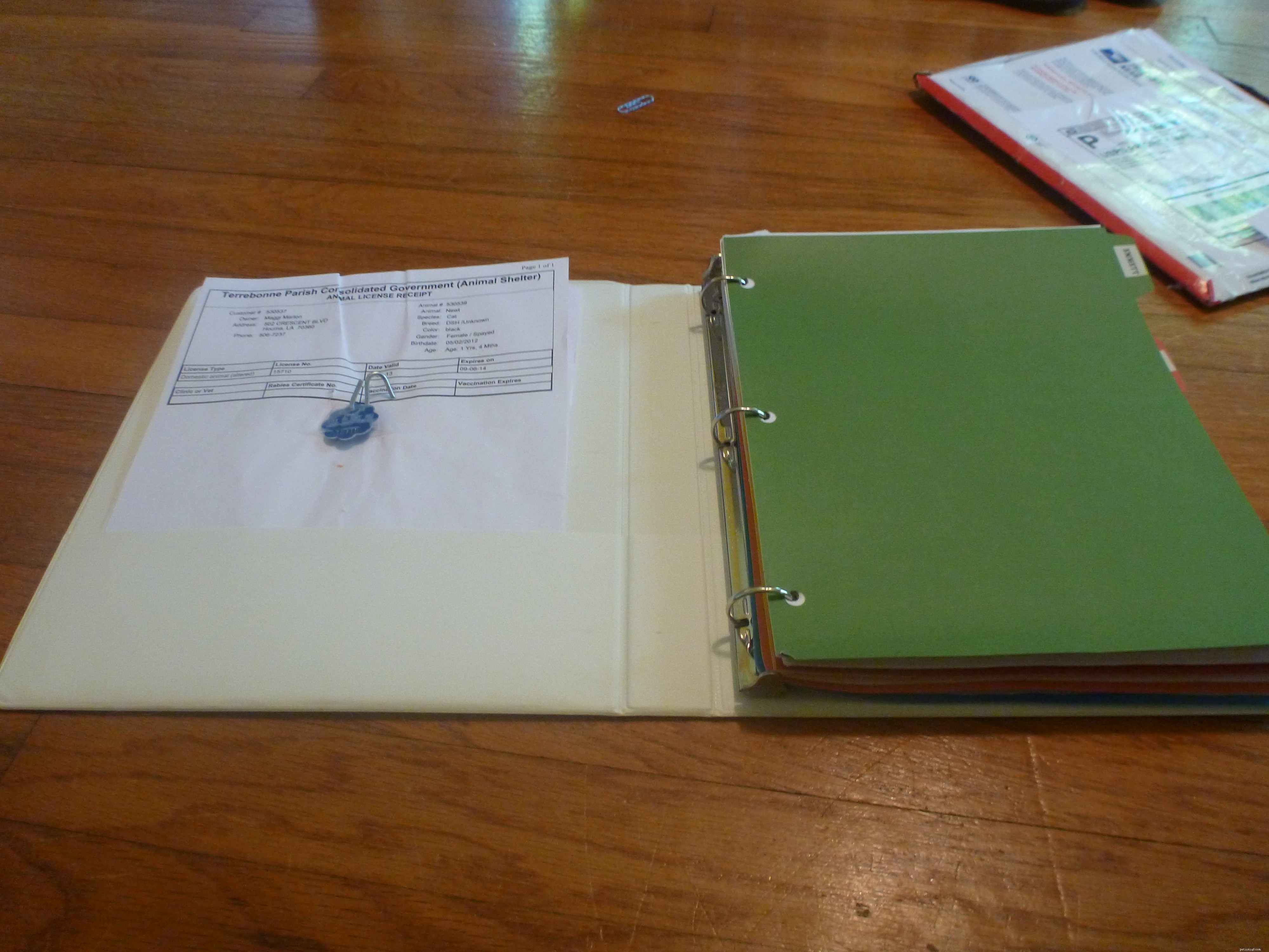 Comprehensive Pet Care: Organizing Health & Wellness Records