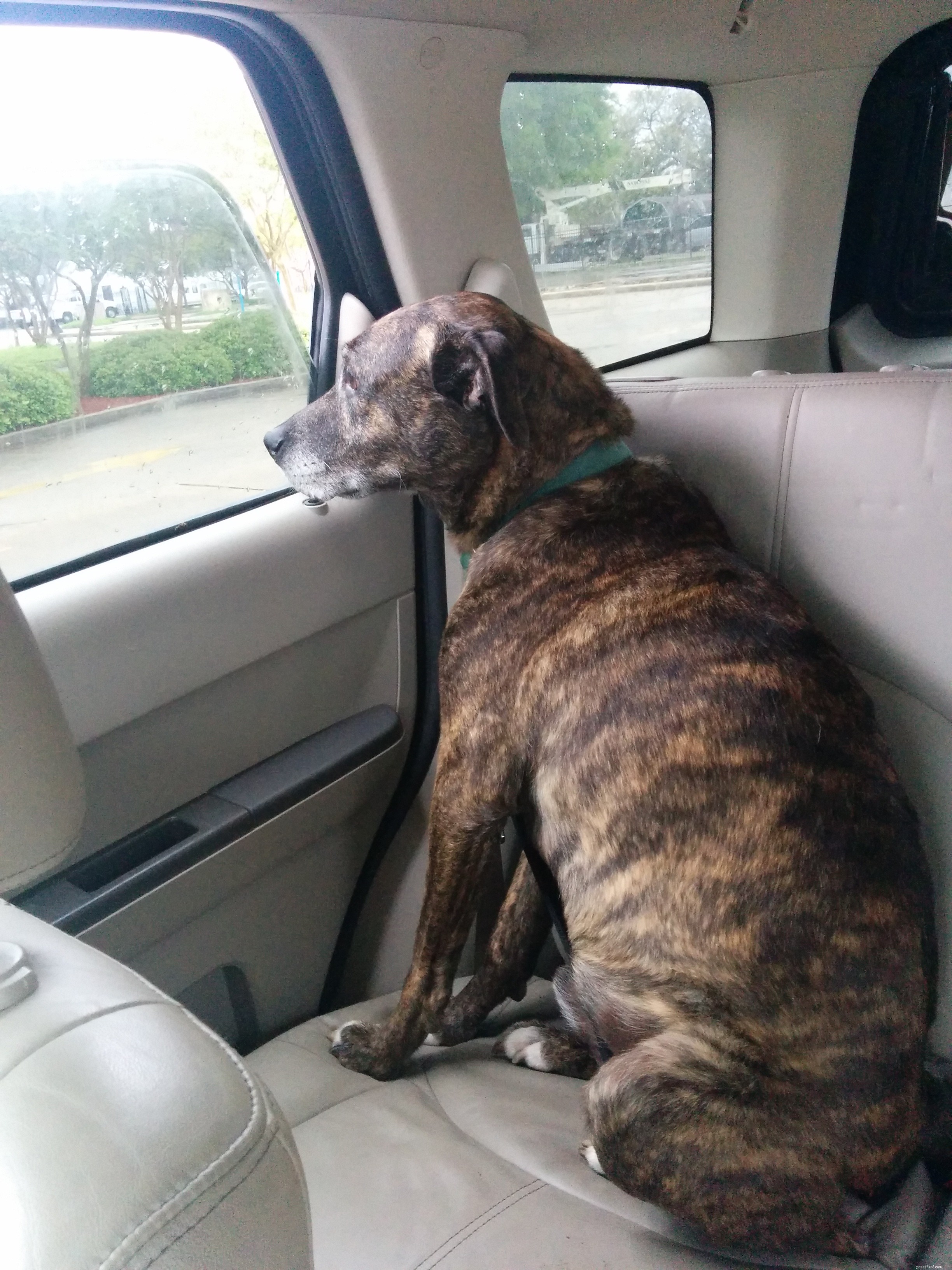 Emmett s Medical Update: Realities of His Cancer Diagnosis
