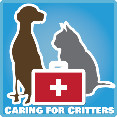 Expert Guide to Caring for Dogs with Chronic Health Issues – Join the Caring for Critters Round Robin