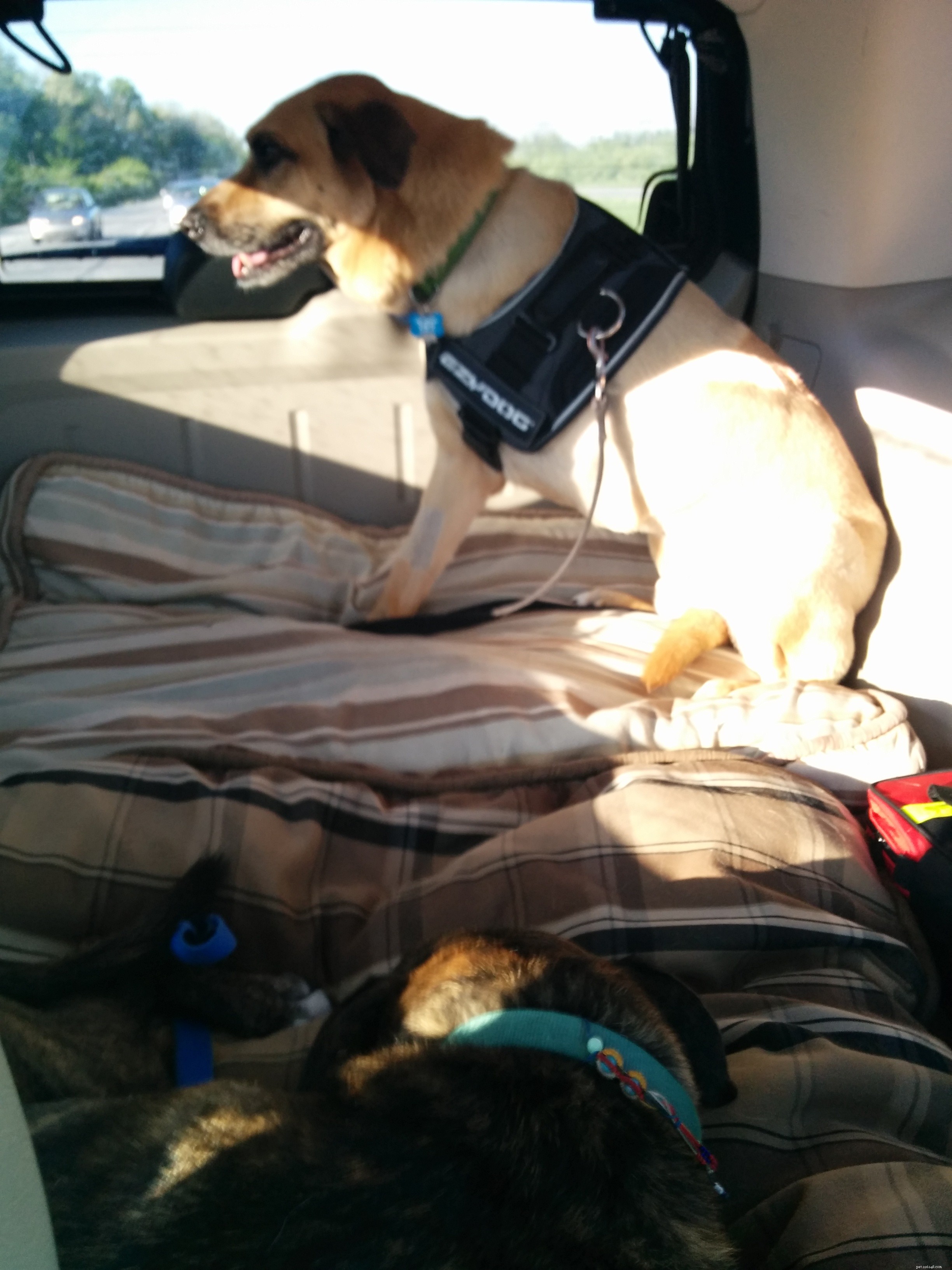 Coordinating Multiple Purdue Appointments: A Busy Travel Schedule