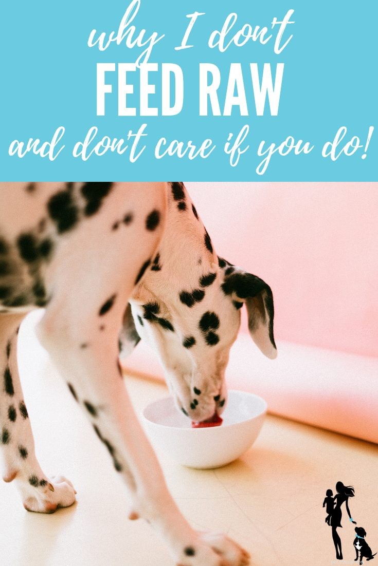 My Perspective on Feeding Dogs: Why I Choose Not to Feed Them Raw, But Respect Your Choice
