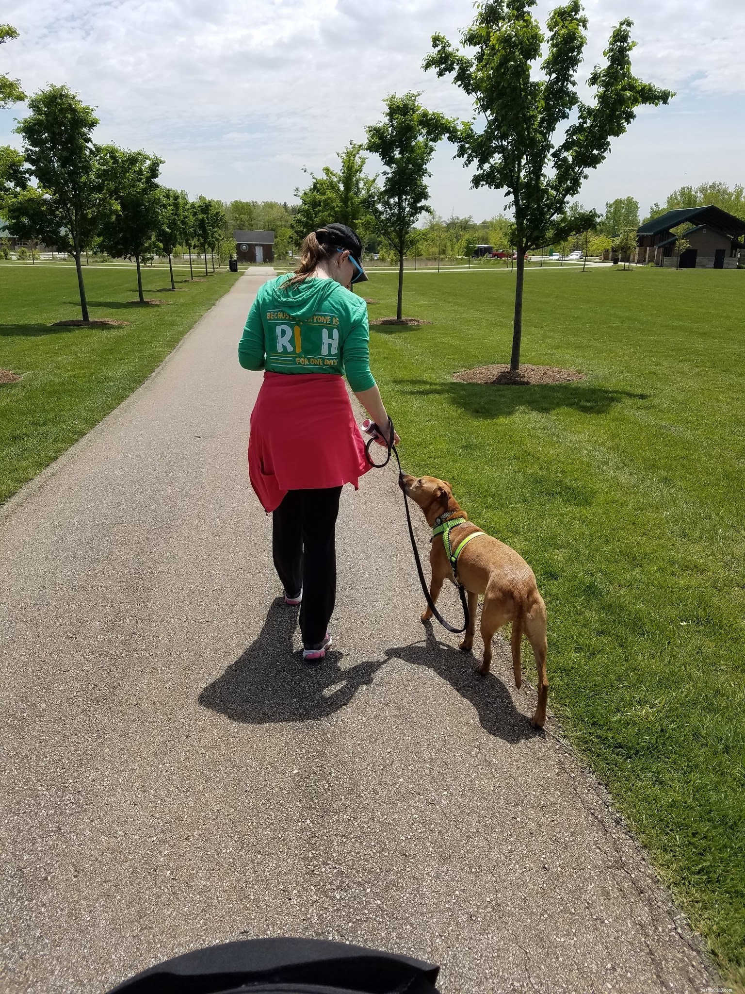 Your Dog’s Health Reflects Your Own—Discover the Connection