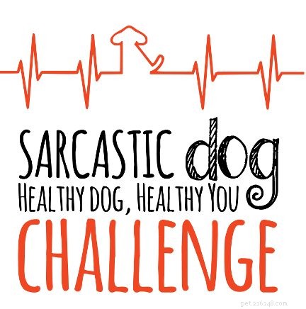 Your Dog’s Health Reflects Your Own—Discover the Connection