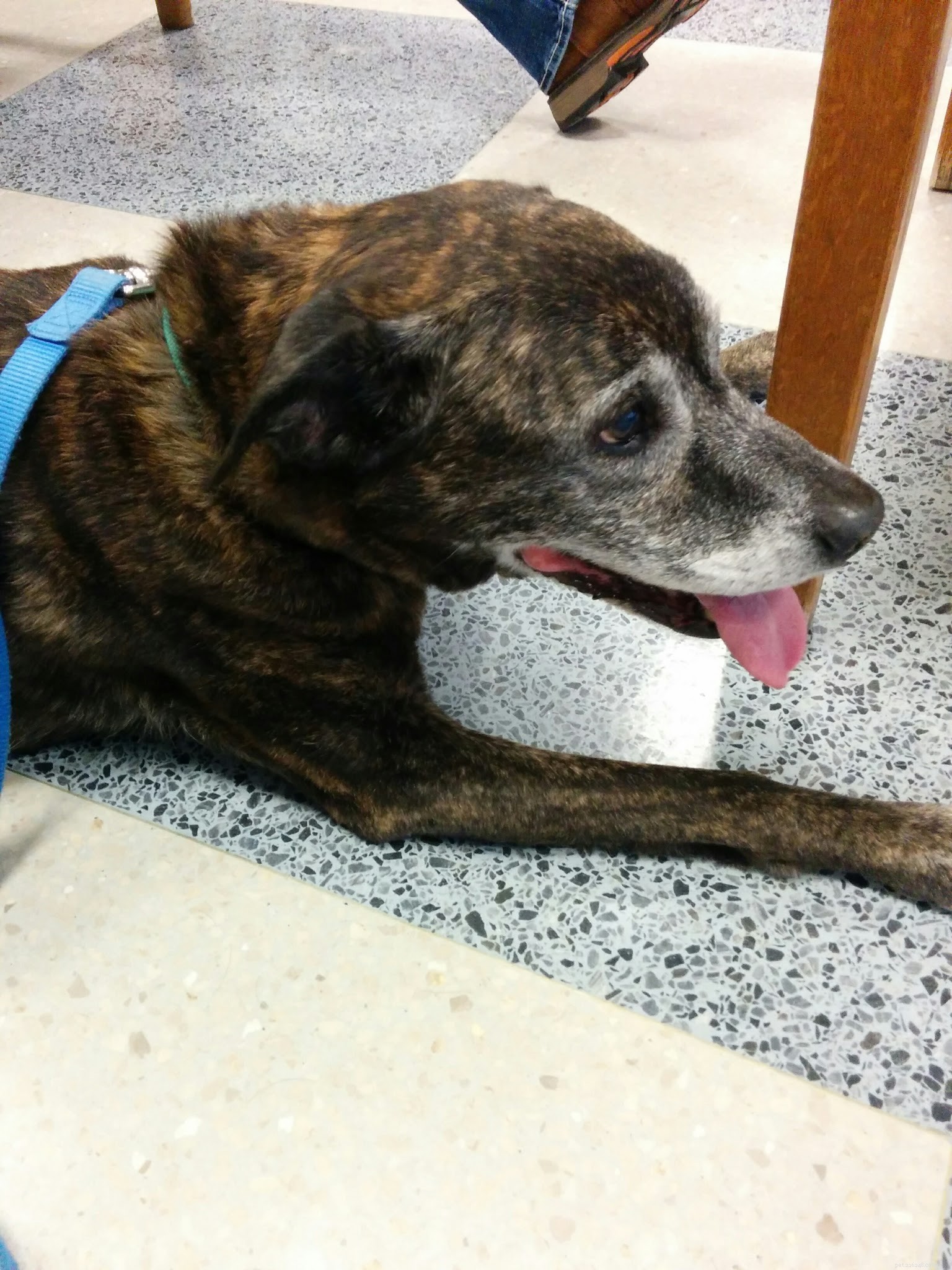 Letting Go: How I Handed Over My Oncology Appointment to John