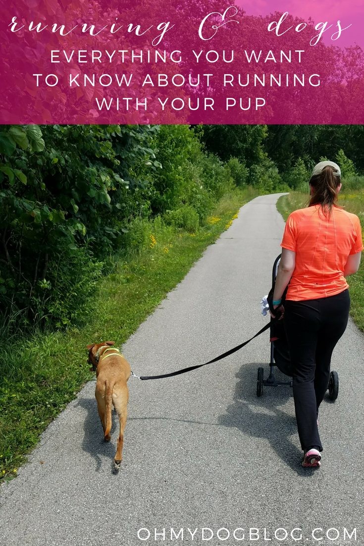 Running With a Pulling Dog: Expert Tips & Everything You Need to Know