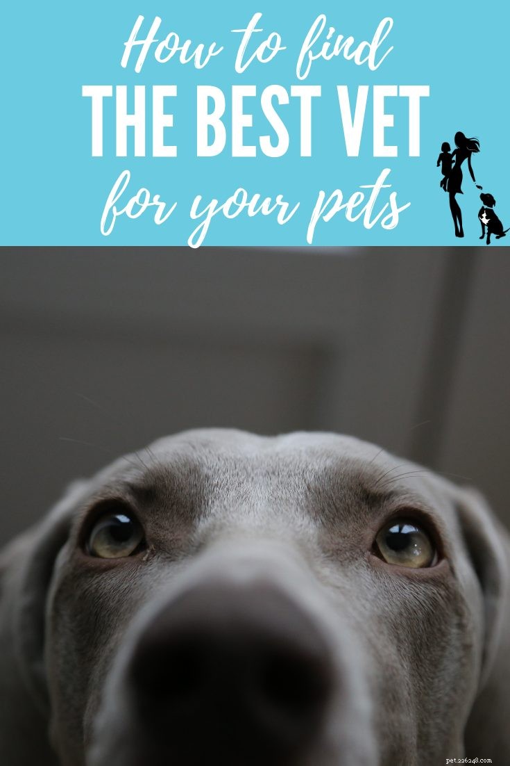 Choosing the Right Veterinarian for Your Family: A Trusted Guide