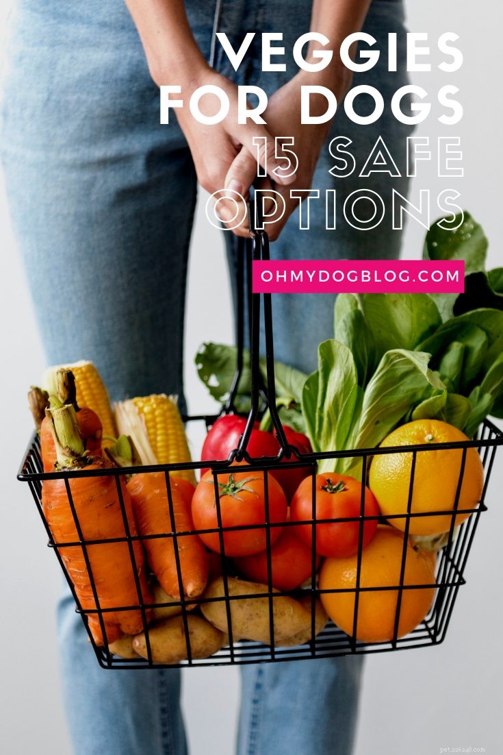 15 Dog-Friendly Vegetables & Safe Prep Guide for Your Pup