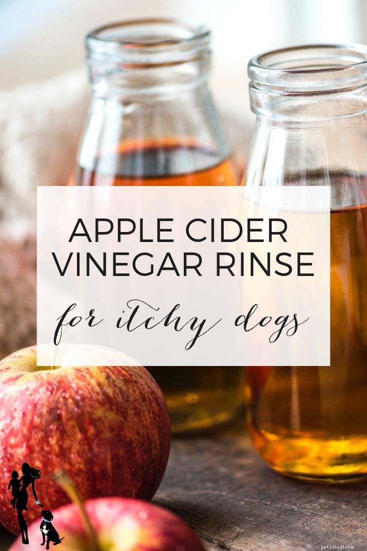 Apple Cider Vinegar: A Safe Remedy for Itchy Dog Skin