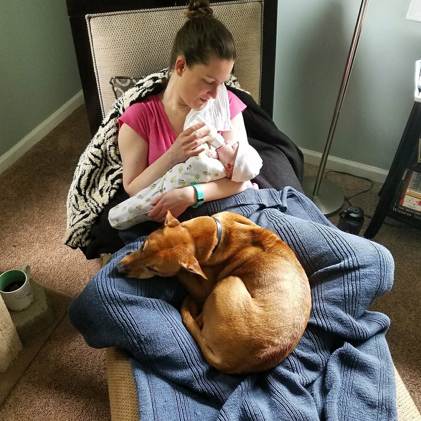 How to Keep Your Dog Safe Around Babies: Proven Tips for Harmony