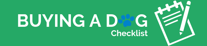Essential Checklist for Responsible Dog Adoption