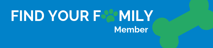 Essential Checklist for Responsible Dog Adoption