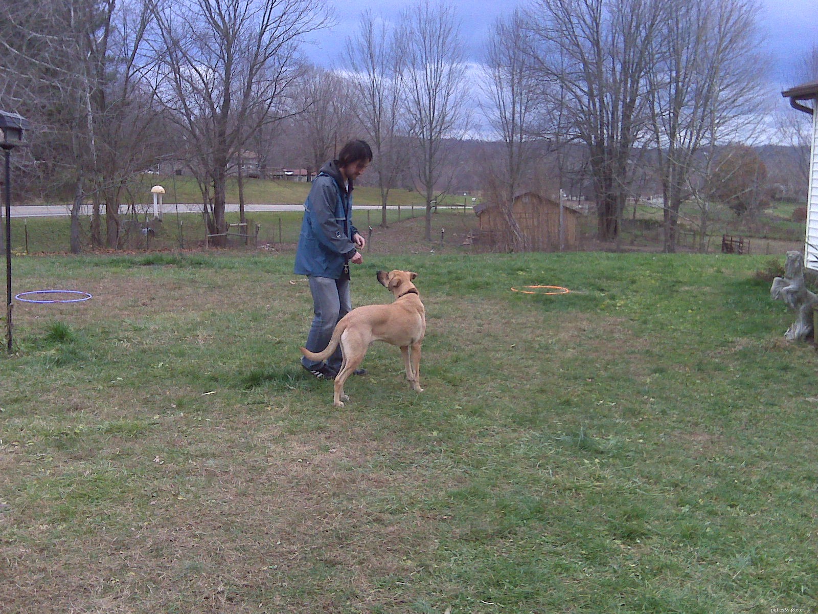 Two-Day Clicker Training & Agility: Lucas Meets His First Horse