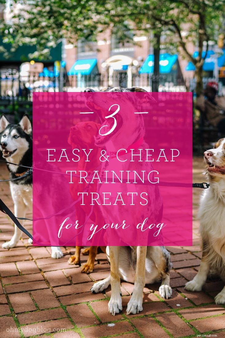 3 Simple Homemade Dog Treats to Boost Training Success