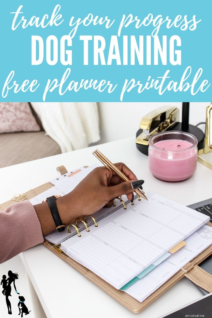 Dog Training Resource: Free Printable Mini‑Session Training Guide