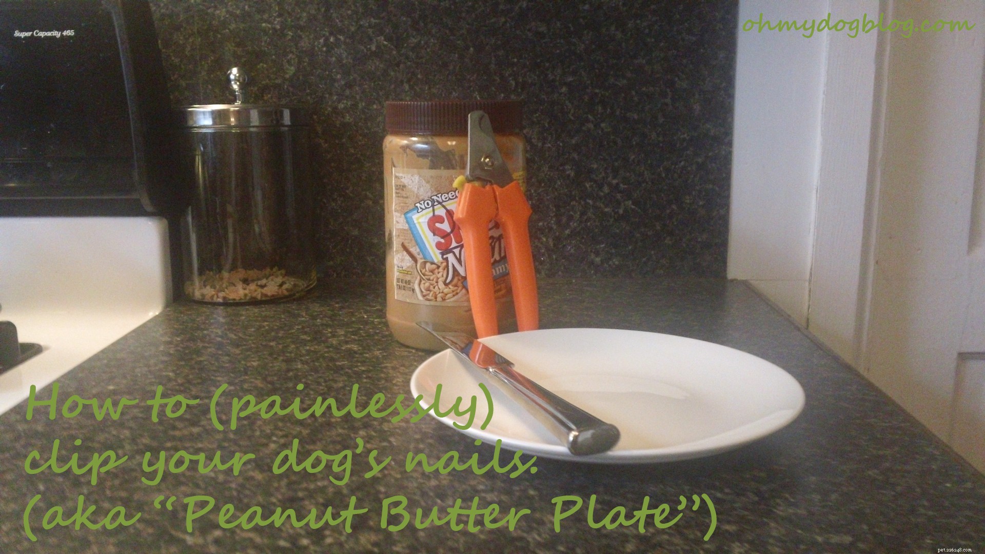 Pain-Free Dog Nail Trimming: The Proven Peanut Butter Plate Method