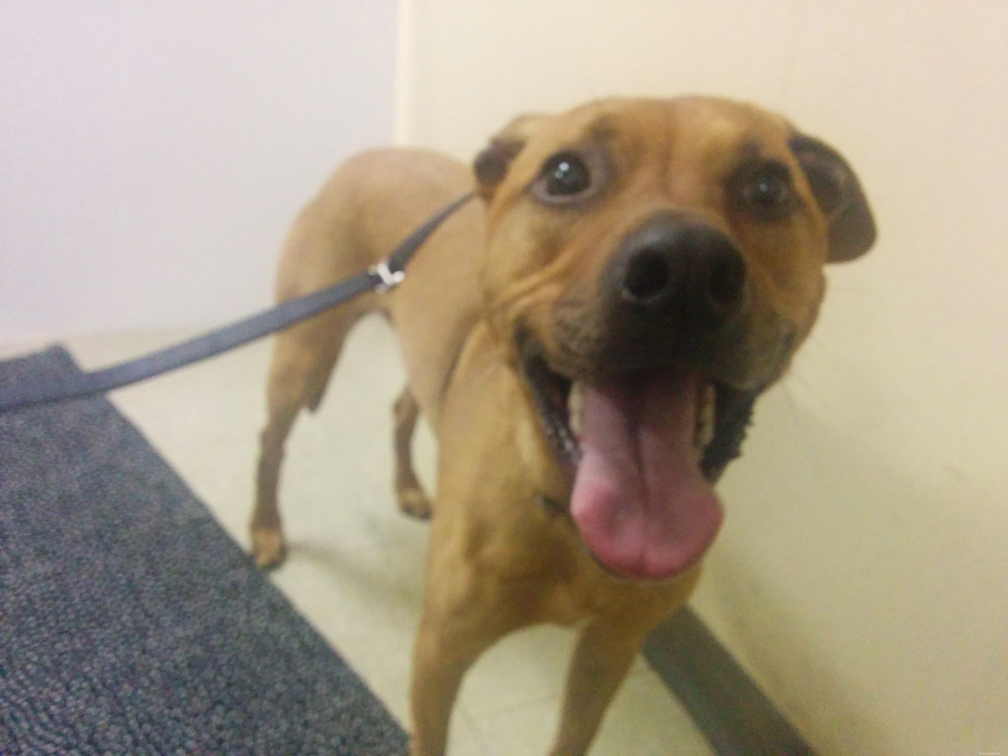 Cooper s First Class: Turning Reactive Behavior into Confidence