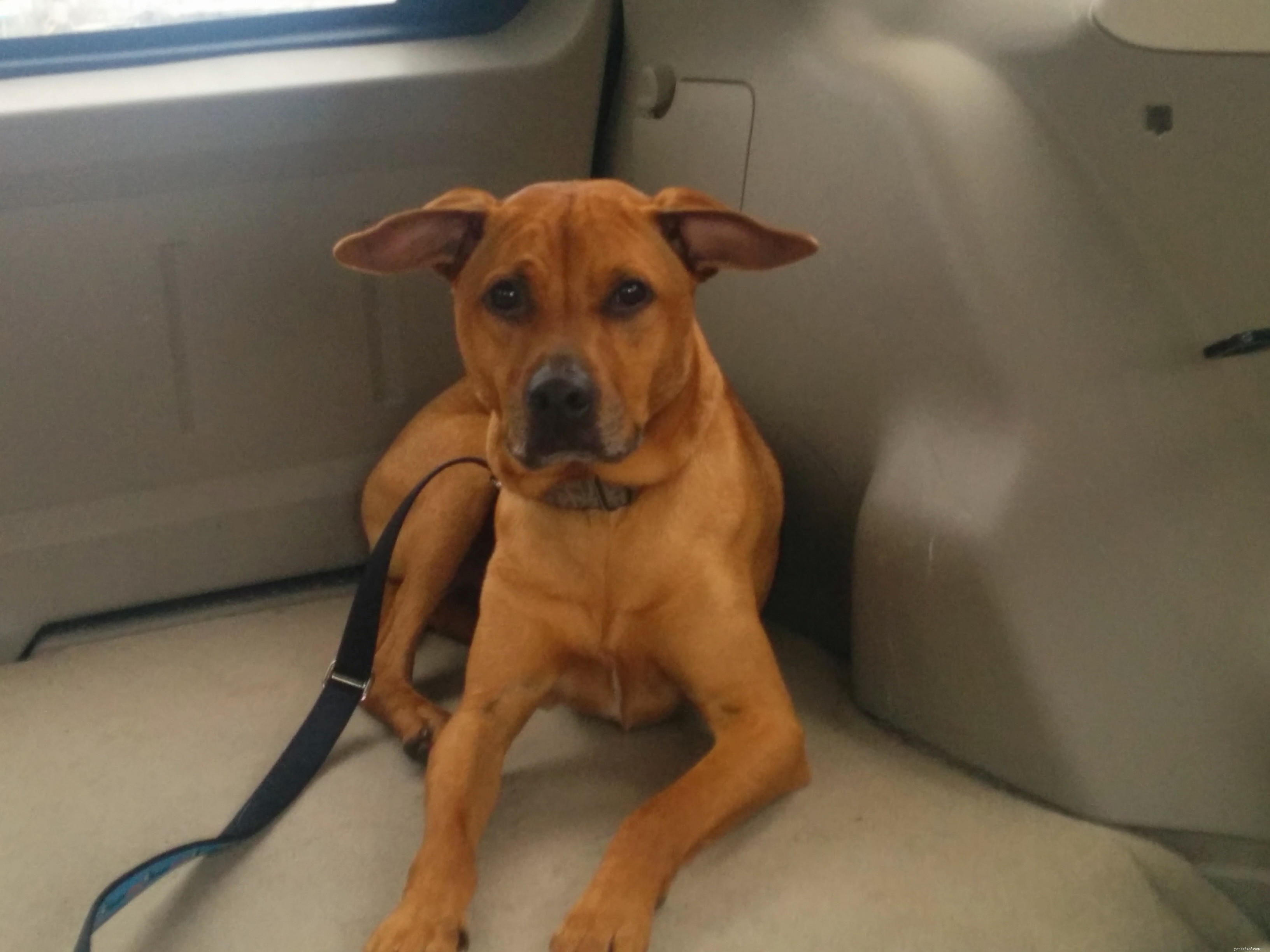 Cooper s First Class: Turning Reactive Behavior into Confidence