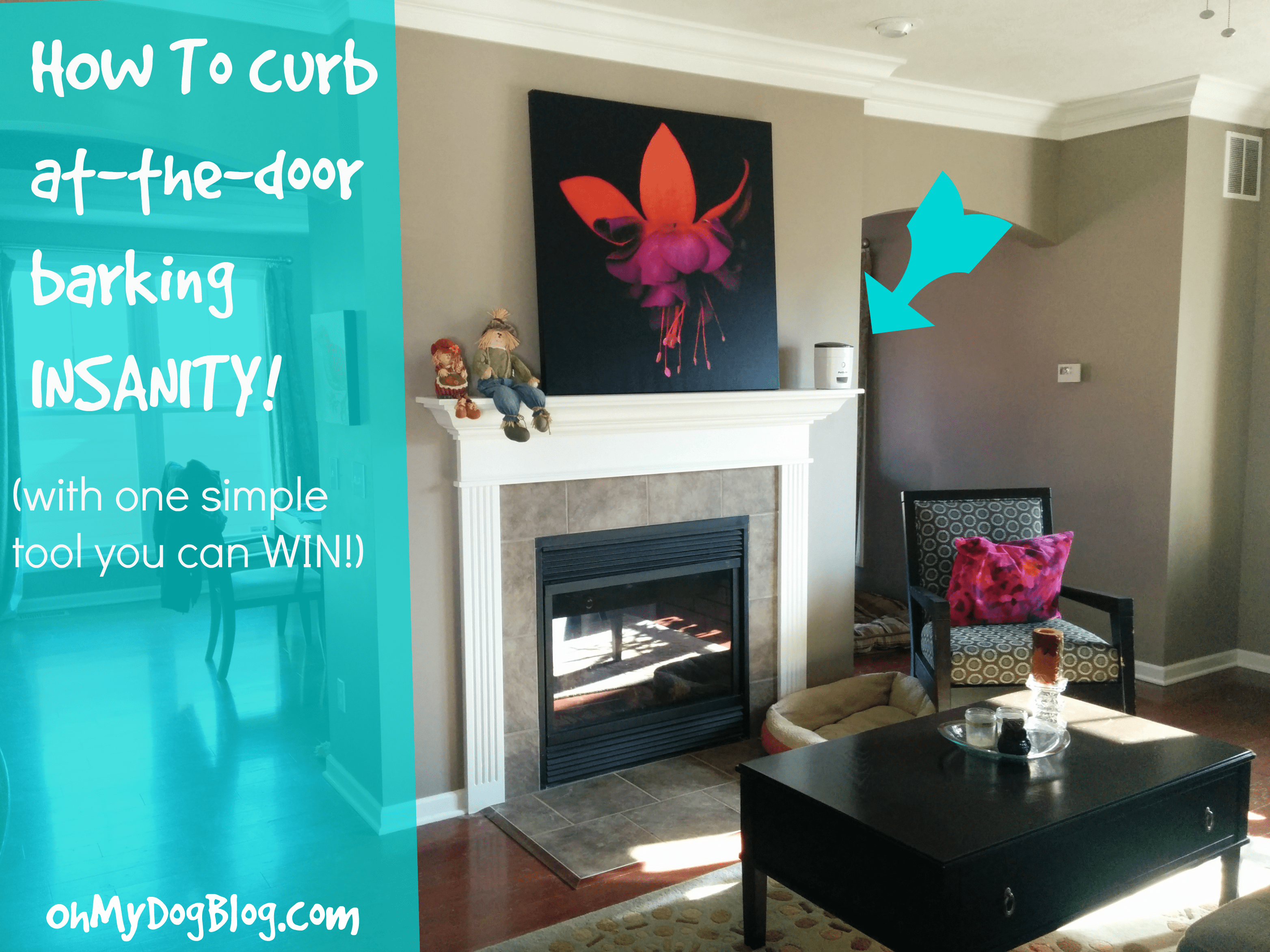 End Front‑Door Barking: Proven Solutions & Free Anti‑Bark Tool Giveaway