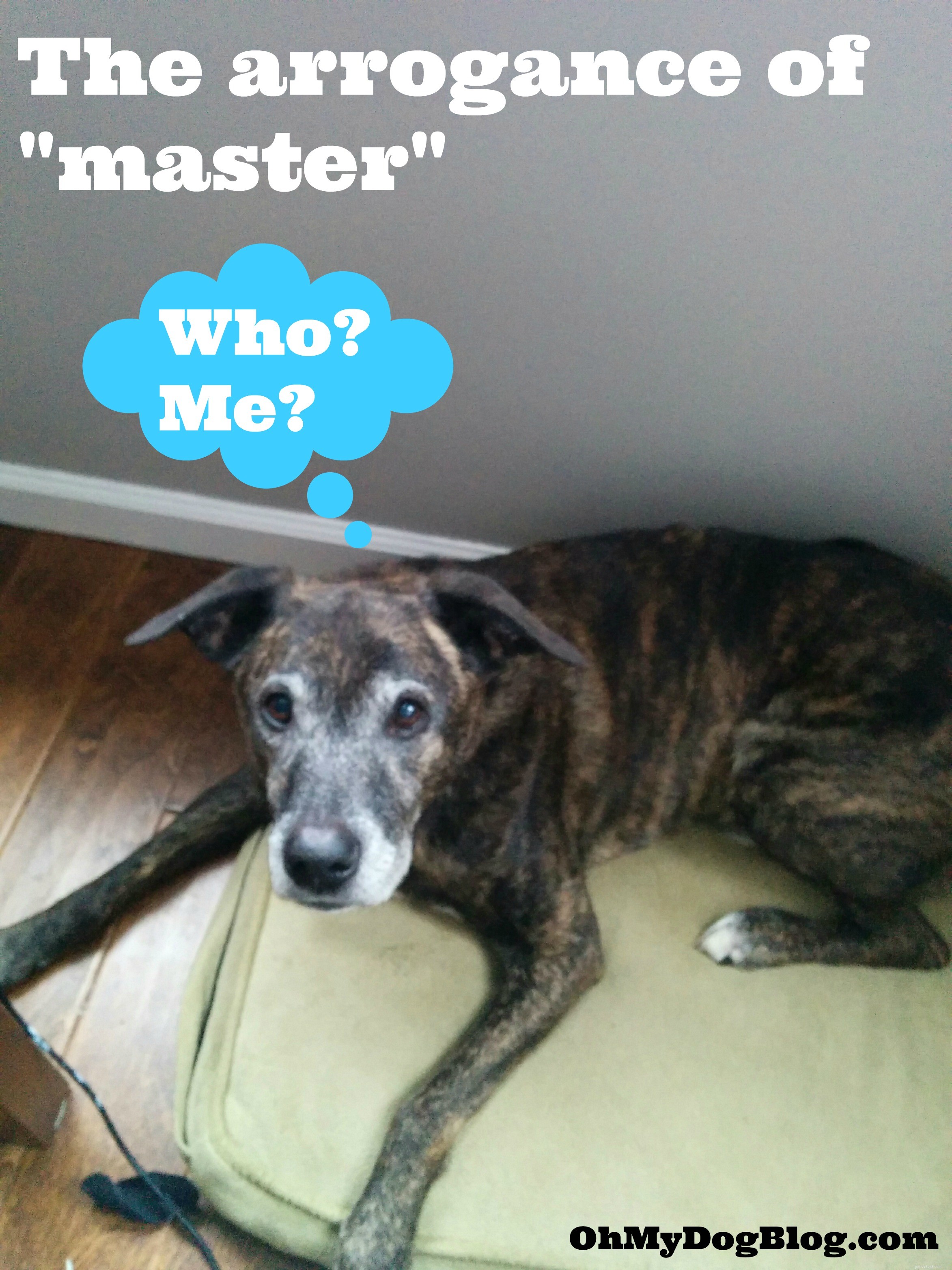 The Myth of Mastery: A Partnership with Animals