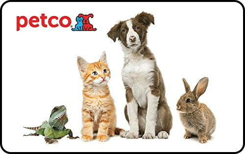 Master New Dog Tricks & Win Amazing Pet Prizes – 2018 Trick or Treat Giveaway