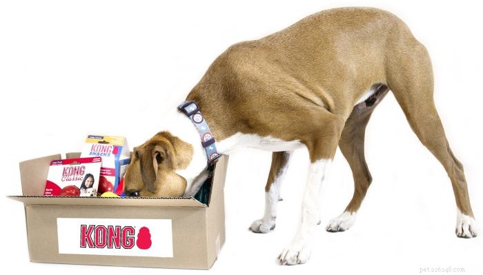 Master New Dog Tricks & Win Amazing Pet Prizes – 2018 Trick or Treat Giveaway