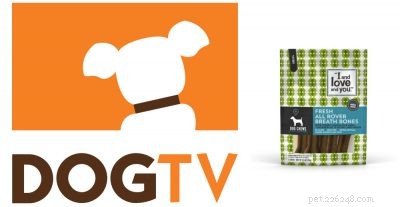 Master New Dog Tricks & Win Amazing Pet Prizes – 2018 Trick or Treat Giveaway