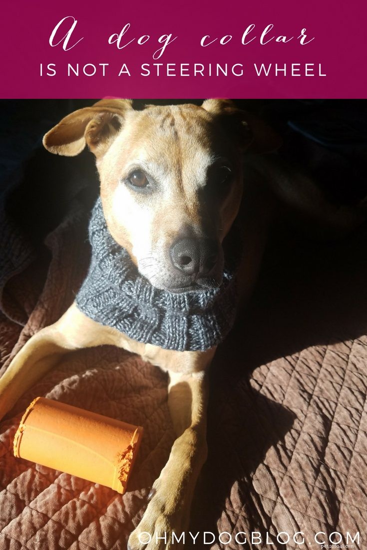 Why a Dog s Collar Is Not a Steering Wheel: Proper Handling Tips