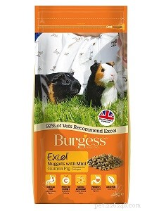 Top 5 Premium Guinea Pig Pellet Brands: Choose the Best Food for Your Pet