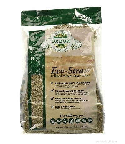 Top 6 Rabbit Bedding Options for Superior Odor Control & Comfort