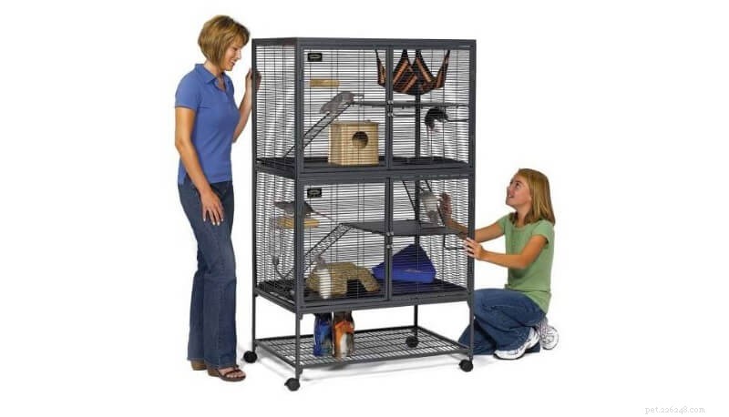 Top 6 Premium Rat Cages: Expert Picks for Your Pet’s Ideal Habitat
