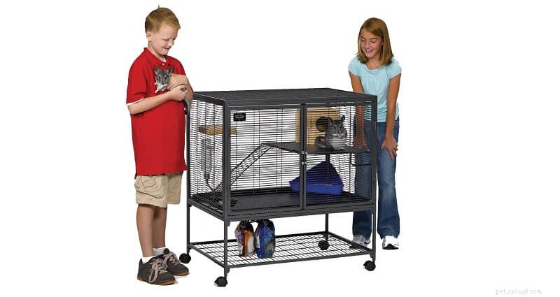 Top 6 Premium Rat Cages: Expert Picks for Your Pet’s Ideal Habitat