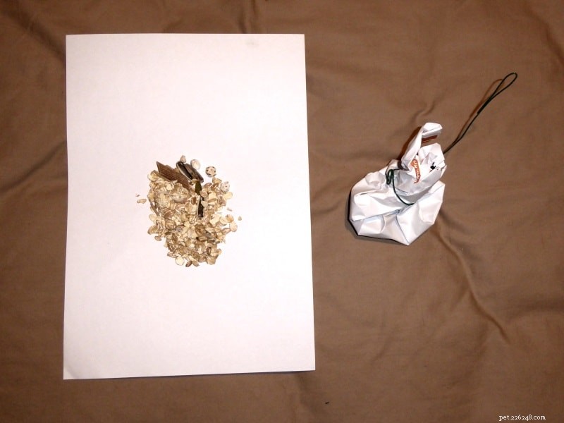 7 Budget‑Friendly DIY Toys to Keep Your Pet Rats Happy