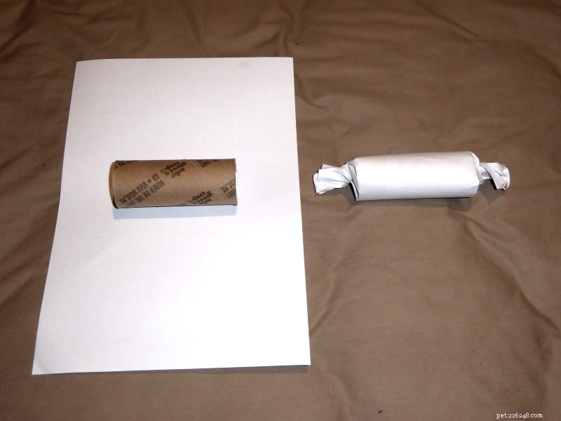 7 Budget‑Friendly DIY Toys to Keep Your Pet Rats Happy