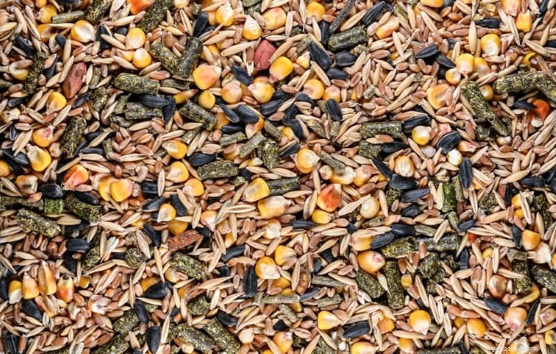 Homemade Rat Food & Treats: Proven Recipes for a Healthy, Happy Rodent Companion