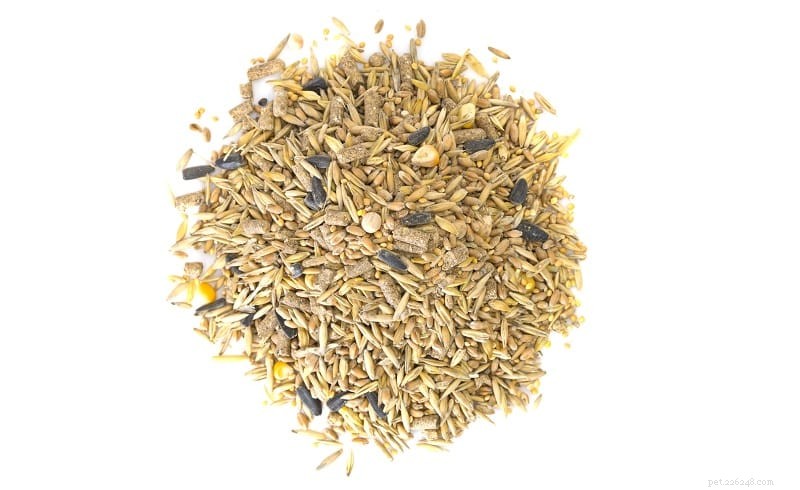 Homemade Rat Food & Treats: Proven Recipes for a Healthy, Happy Rodent Companion