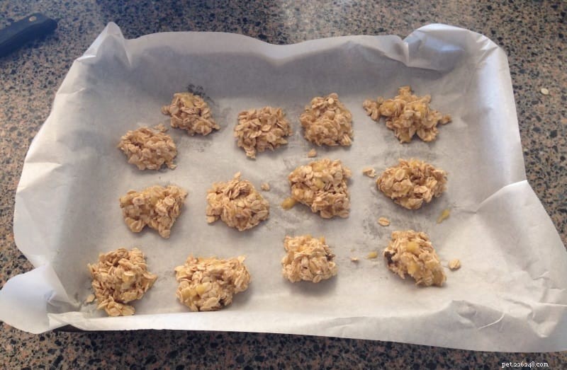 Homemade Rat Food & Treats: Proven Recipes for a Healthy, Happy Rodent Companion