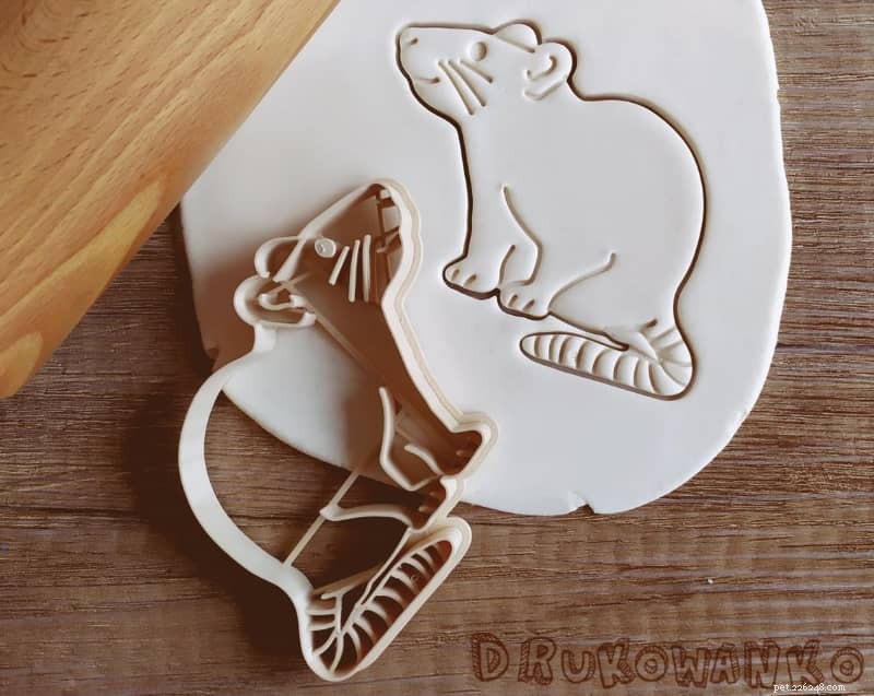 Top 10 Gifts Every Rat Lover and Owner Will Love