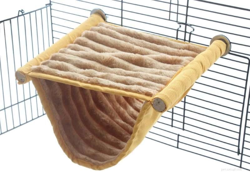Top 10 Gifts Every Rat Lover and Owner Will Love