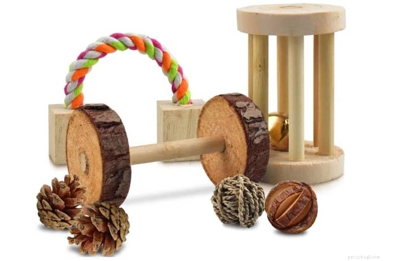 Top 10 Gifts Every Rat Lover and Owner Will Love