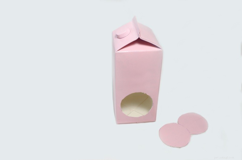 Eco-Friendly DIY Pink Milk Carton Bird Feeder – A Creative Family Activity