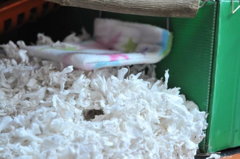 Premium Hamster Bedding: Safe, Comfortable Choices for Happy Pets